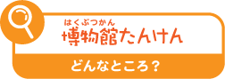 博物館たんけん