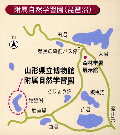 附属自然学習園地図